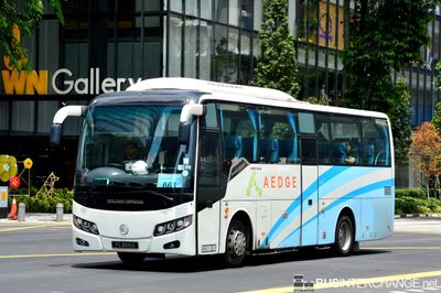 Bus 661 - Aedge Golden Dragon XML6957J14 (PC3515G)
