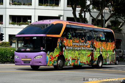 PC6688X - Private Operator Zonda YCK6129HG