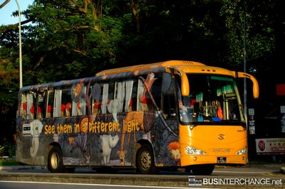 King Long XMQ6118K