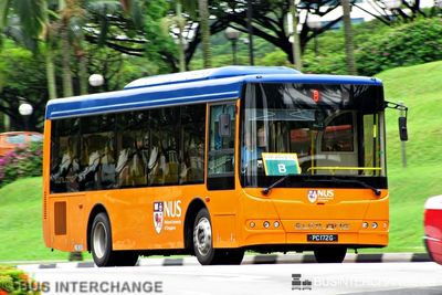 Private Operator Sunlong SLK6905 (PC172G) - B