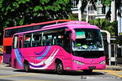 PC 242M - Private Operator Golden Dragon XML6957J