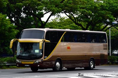 Isuzu LV434R