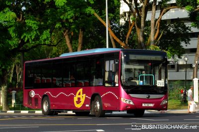 Bus 715 - Private Operator Yutong ZK6118HG (PC587T)