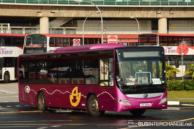 Bus 715 - Private Operator Yutong ZK6118HG (PC700H)