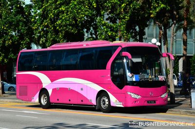 PC 701E - Private Operator Golden Dragon XML6103J