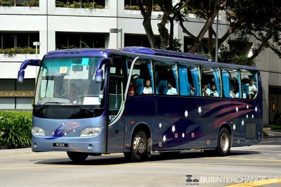 PC  81K - Private Operator Golden Dragon XML6118E