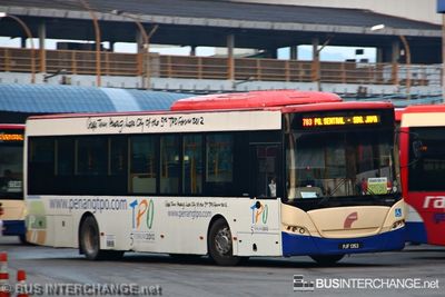 PJF1353 · 703