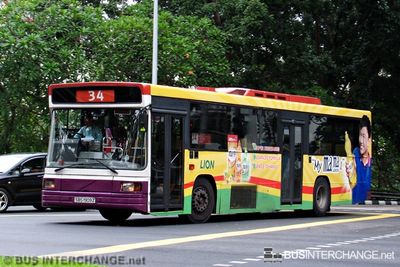 Bus 34 - SBS Transit Volvo B10M (Mark IV) (SBS1909Z)