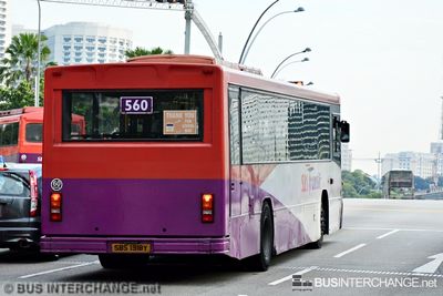 SBS1918Y · 560