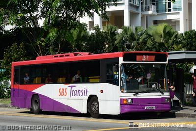 Bus 31 - SBS Transit Volvo B10M (Mark IV) (SBS1925B)