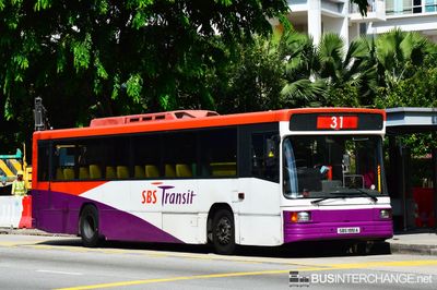 Bus 31 - SBS Transit Volvo B10M (Mark IV) (SBS1951A)