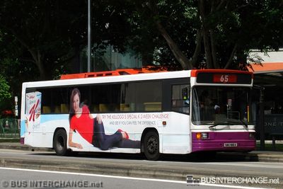 Bus 65 - SBS Transit Volvo B10M (Mark IV) (SBS1951A)