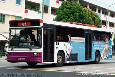 Bus 66 - SBS Transit Volvo B10M (Mark IV) (SBS1964M)