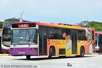 Bus 66 - SBS Transit Volvo B10M (Mark IV) (SBS1984E)