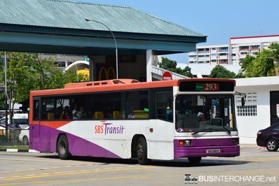 Bus 293 - SBS Transit Volvo B10M (Mark IV) (SBS1989S)