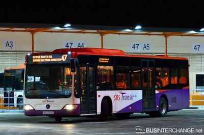 Bus 47 - SBS Transit Mercedes-Benz Citaro (SBS2004C)