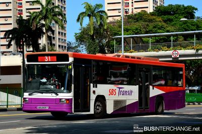 Bus 31 - SBS Transit Volvo B10M (Mark IV) (SBS2605T)