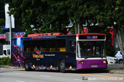 Bus 559 - SBS Transit Volvo B10M (Mark IV) (SBS2619D)