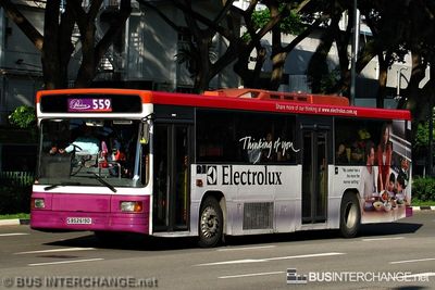 SBS2619D · 559