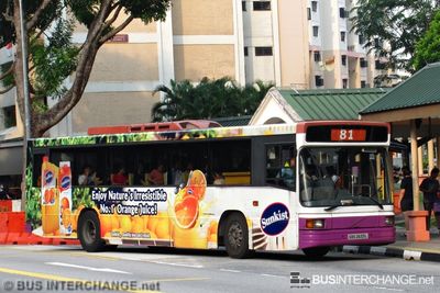 Bus 81 - SBS Transit Volvo B10M (Mark IV) (SBS2633L)
