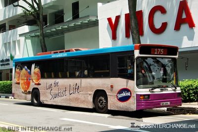 Bus 175 - SBS Transit Volvo B10M (Mark IV) (SBS2651J)