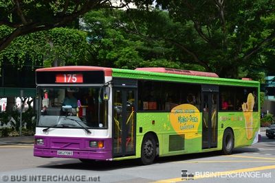 Bus 175 - SBS Transit Volvo B10M (Mark IV) (SBS2708E)
