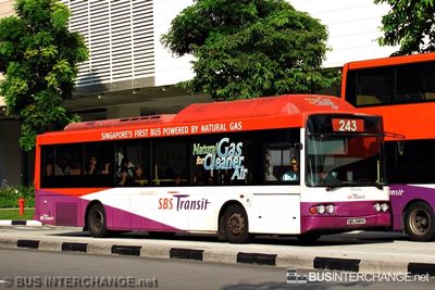 SBS2989K · 243