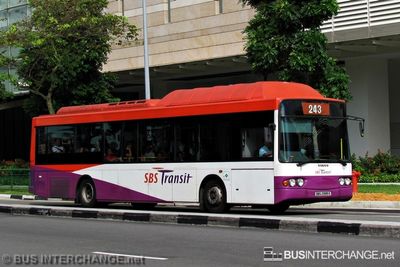 SBS2995S · 243