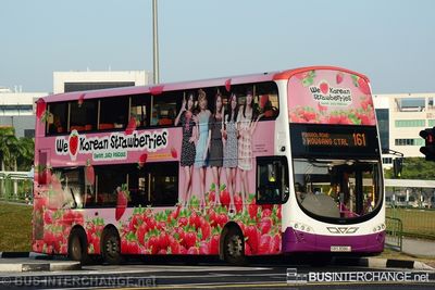 Bus 161 - SBS Transit Volvo B9TL (SBS3086J)