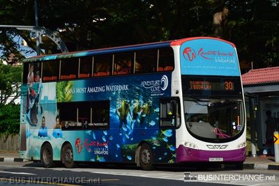 Bus 30 - SBS Transit Volvo B9TL (SBS3109C)