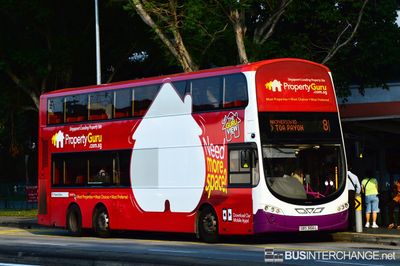Bus 8 - SBS Transit Volvo B9TL (SBS3166L)