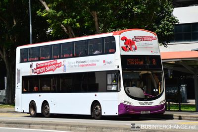 Bus 8 - SBS Transit Volvo B9TL (SBS3166L)