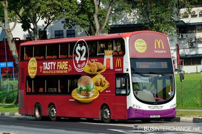Bus 59 - SBS Transit Volvo B9TL (SBS3189X)