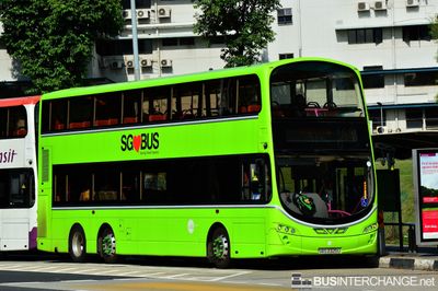 Bus 66 - Tower Transit Singapore Volvo B9TL (SBS3325U)