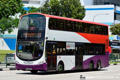 Bus 79 - Tower Transit Singapore Volvo B9TL (SBS3367Z)