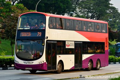 SBS3379P · 79