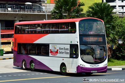 Bus 183 - Tower Transit Singapore Volvo B9TL (SBS3395S)