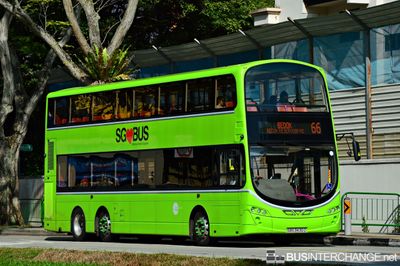 Bus 66 - Tower Transit Singapore Volvo B9TL (SBS3430Z)