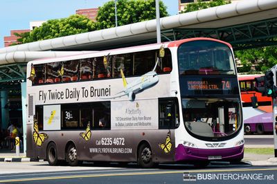 Bus 74 - SBS Transit Volvo B9TL (SBS3603S)