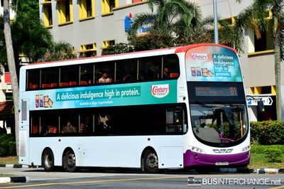 Bus 81 - SBS Transit Volvo B9TL (SBS3615H)