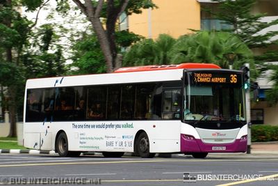 Bus 36 - SBS Transit Scania K230UB (SBS5175Y)