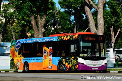 Bus 36 - SBS Transit Scania K230UB (SBS5175Y)