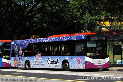 Bus 28 - SBS Transit Scania K230UB (SBS5185T)