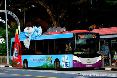 Bus 30 - SBS Transit Scania K230UB (SBS5222U)