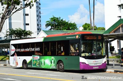 Bus 80 - SBS Transit Scania K230UB (SBS5238A)
