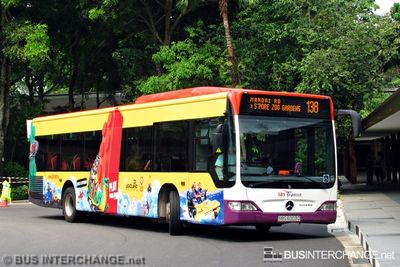 Bus 138 - SBS Transit Mercedes-Benz Citaro (SBS6003D)
