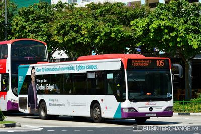 Bus 105 - SBS Transit Mercedes-Benz Citaro (SBS6031Y)
