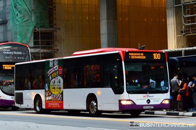 SBS6086P · 100