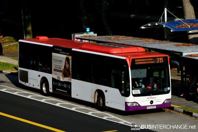 SBS6086P · 315