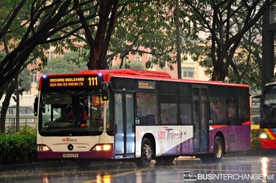 Bus 111 - SBS Transit Mercedes-Benz Citaro (SBS6123R)